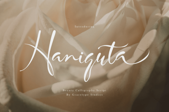 Haniquta Typeface Review for Campaign Design