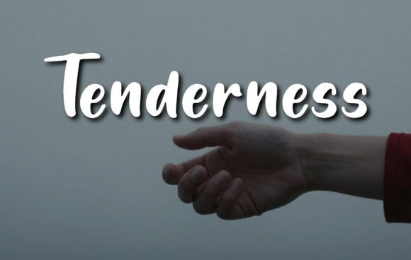 Tenderness: A Designer’s Review of Script Amp’s Softest Typeface